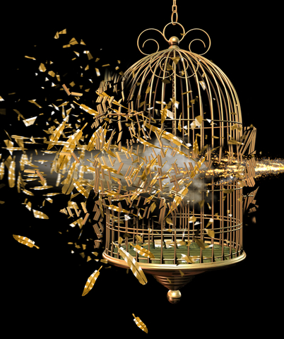 Nadia Nafti - Sophrologie / Reiki / Ayurveda